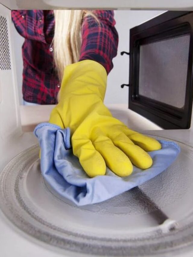 limpre o prato giratório