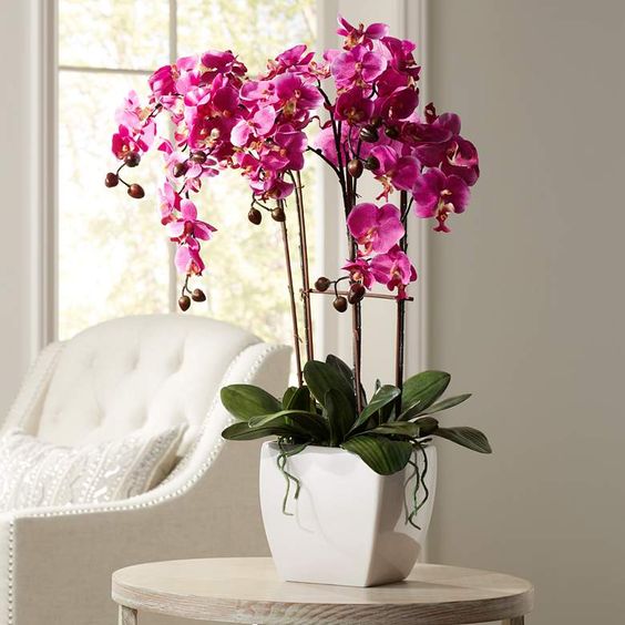 Dicas para usar orquídeas na decoração - Sala da Casa