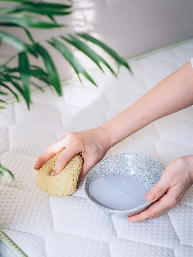 higienização de colchão dicas caseiras