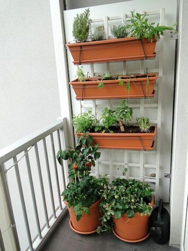 cropped-horta-vertical-em-apartamento-pequeno.jpg