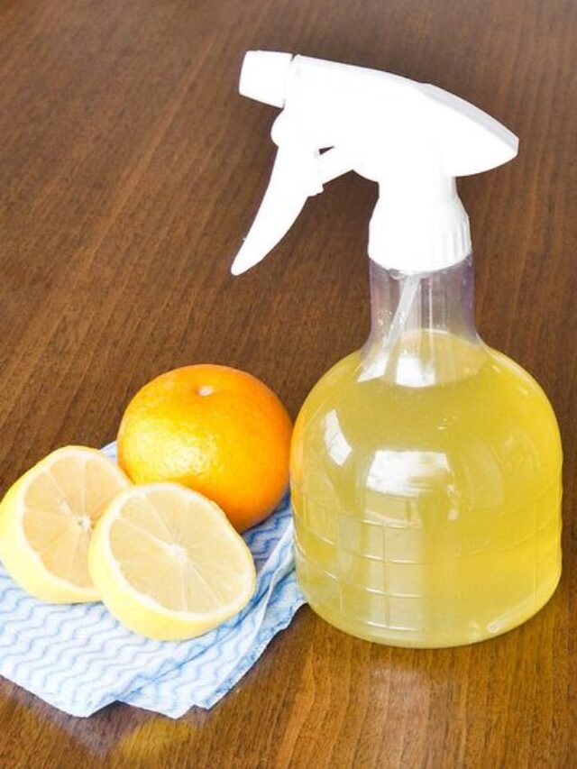 spray de limpeza caseiro