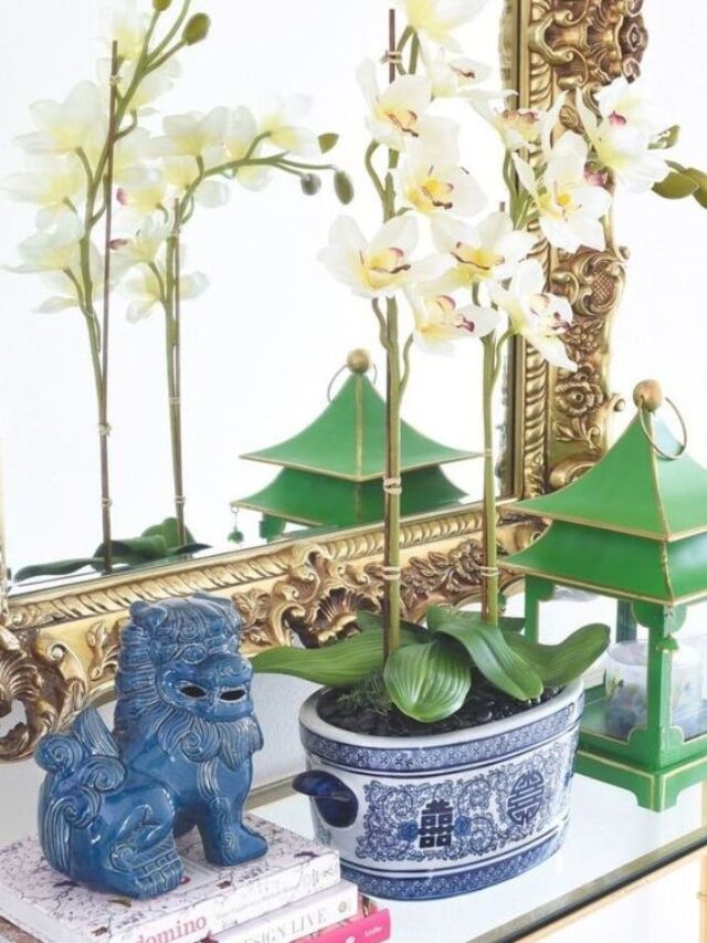 orquídea phalaenopsis