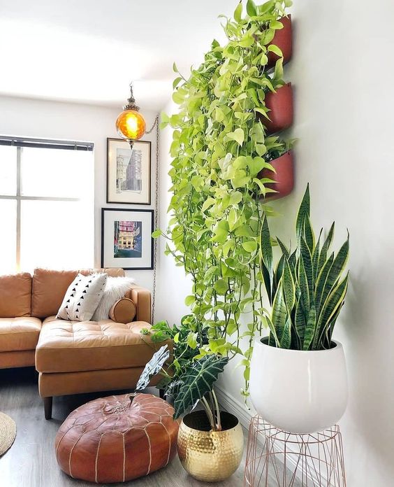 Fast Decor com plantas