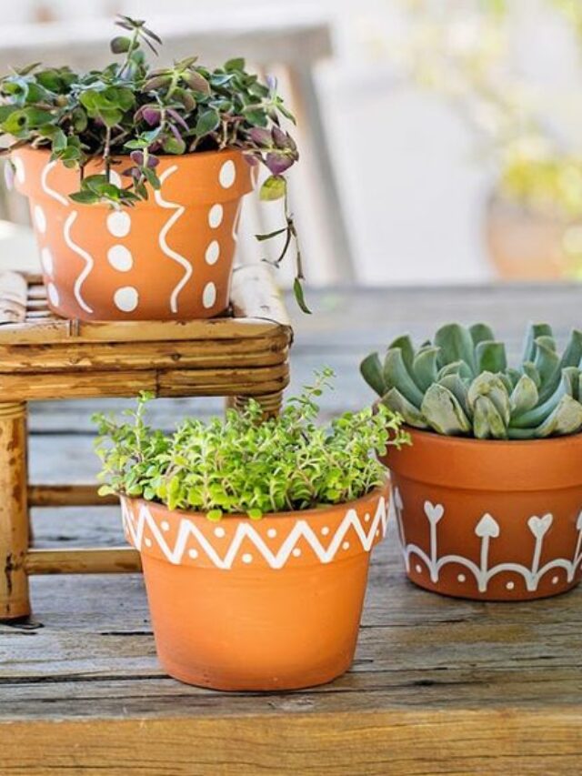 tipos de vaso para plantas