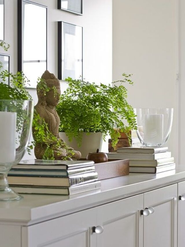 como decorar com avenca