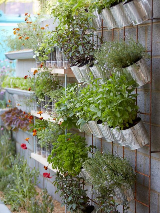 como fazer uma horta vertical